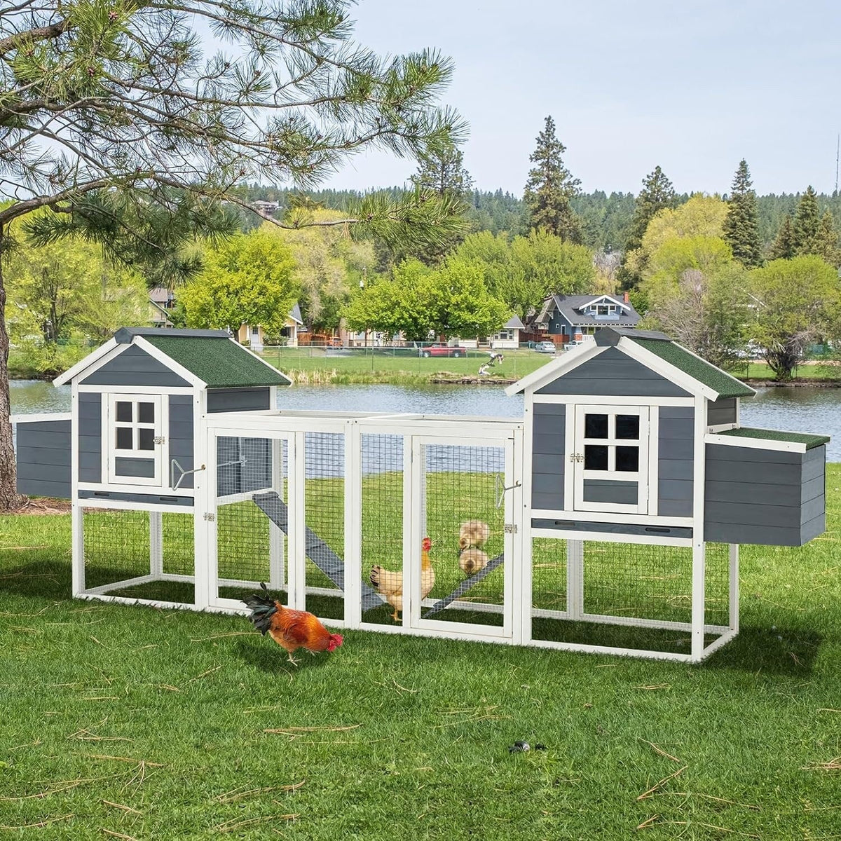 Grand poulailler en bois AECOJOY de 144' avec enclos