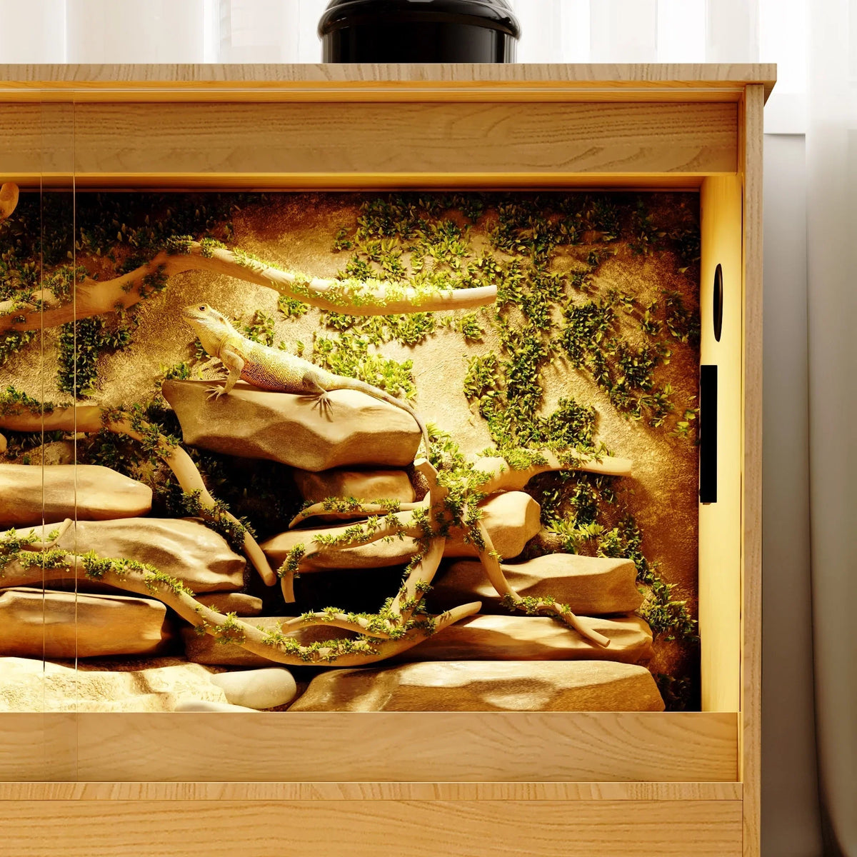 Habitat pour reptiles - terrarium spacieux pour lézards, serpents et plus - 47.2