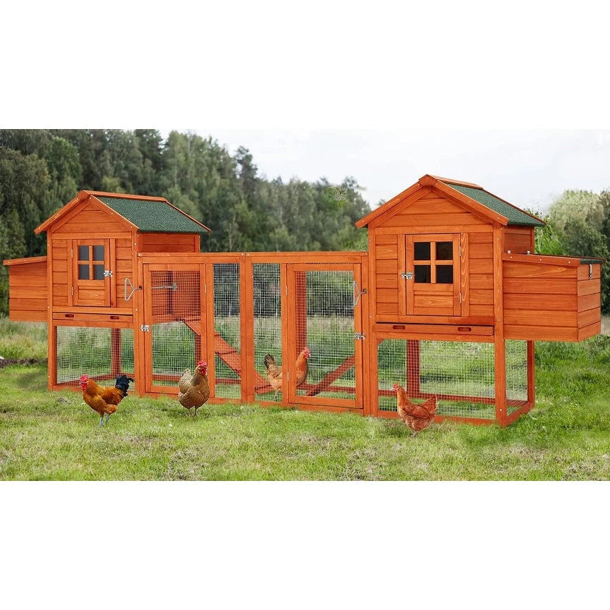 Grand poulailler en bois AECOJOY de 144' avec enclos